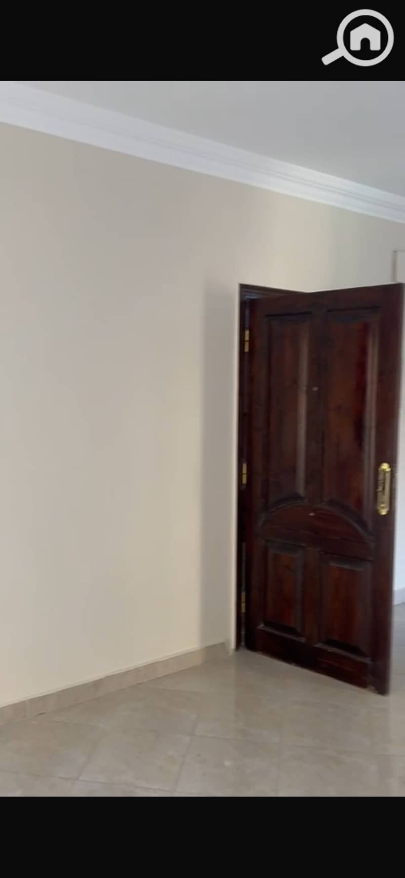 3 IMG_3341. png