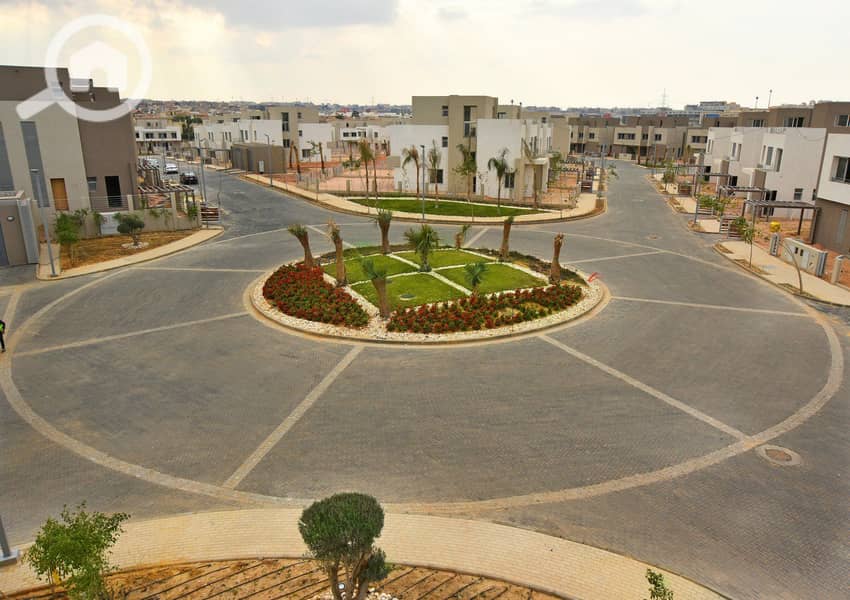 6 Palm-Vally-DSC_0553. jpg