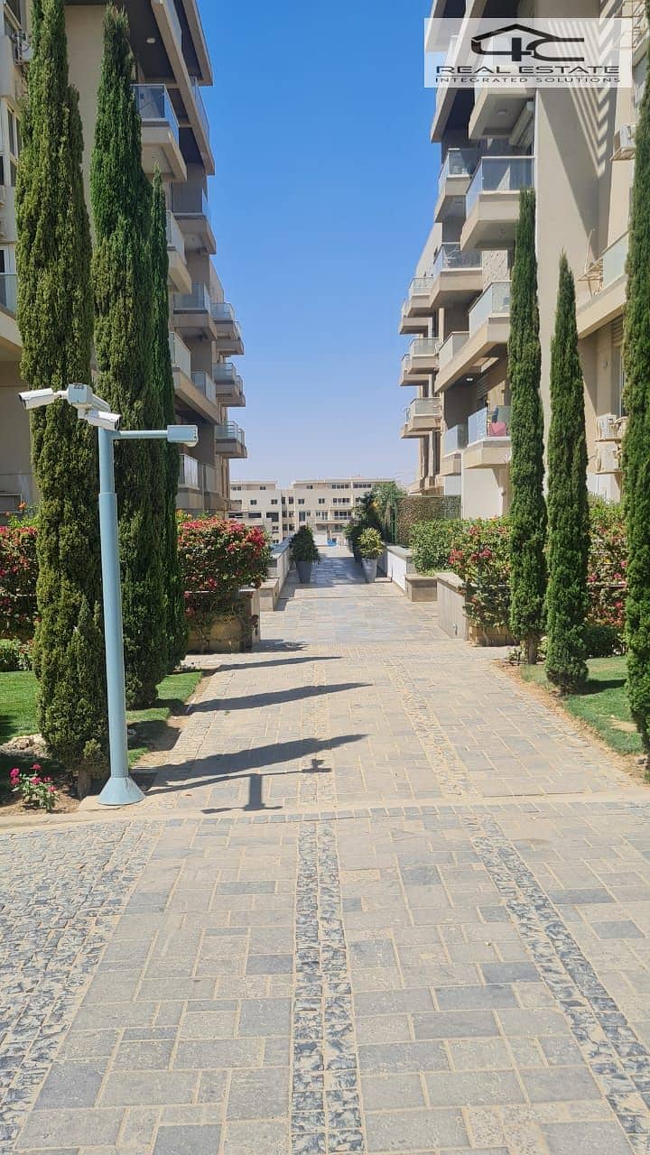 7 WhatsApp Image 2025-05-22 at 17.18. 22_22847800. jpg