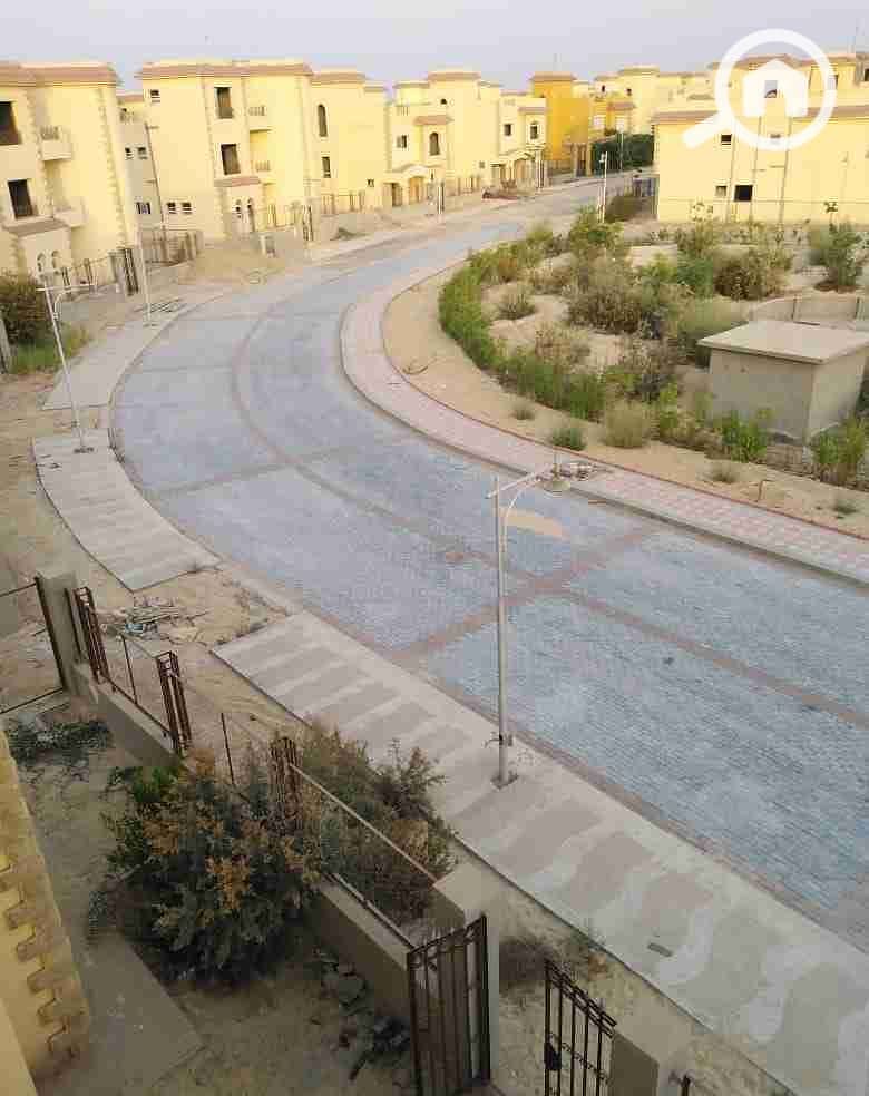 8 1000051088. jpg