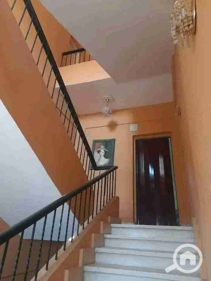 9 1000057519. jpg