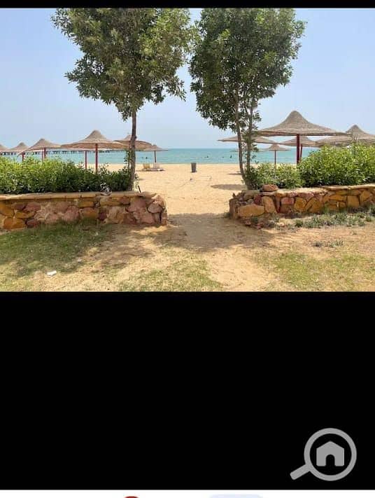 2 WhatsApp Image 2025-10-05 at 22.54. 26 (1). jpeg