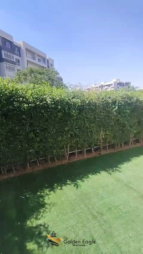 18 558327405_1475213147042546_4500425099882055807_n. jpg