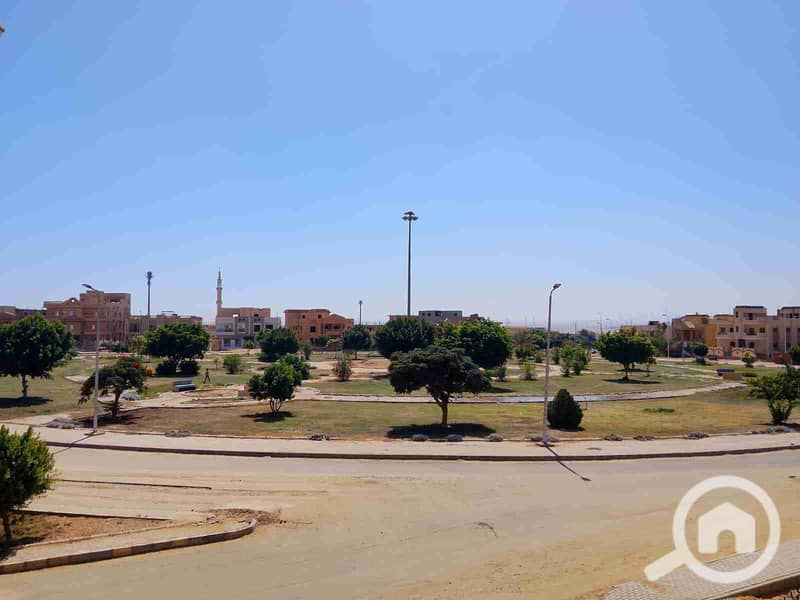 4 19521. jpg
