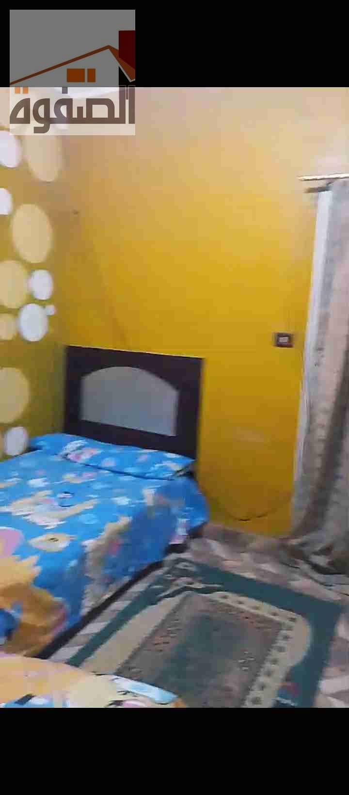 3 IMG_٢٠٢٥١٠٠٦_٠٦٢٩٥٣. jpg