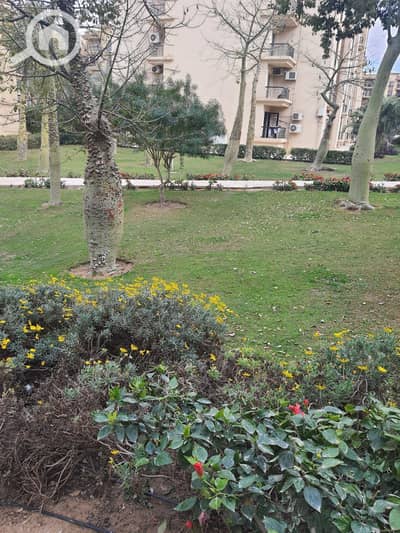 فلیٹ 2 غرفة نوم للايجار في القاهرة الجديدة، القاهرة - IMG-20250930-WA0311. jpg