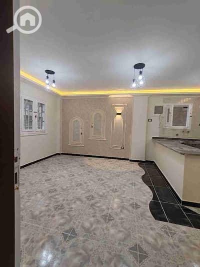 2 Bedroom Apartment for Sale in Nakheel, Alexandria - 1000391588. jpg