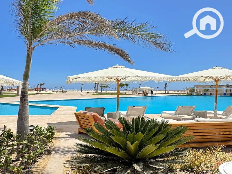 4 IMG-20251002-WA0003. jpg