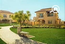 3 images (1). jpg