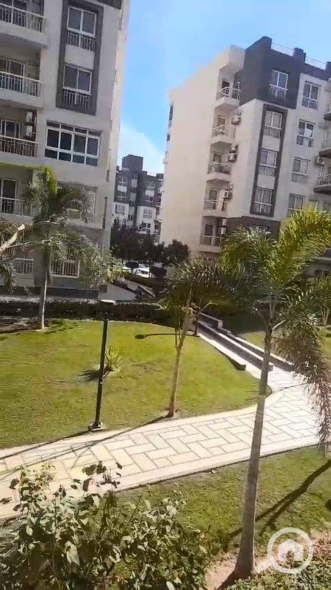 5 WhatsApp Video 2025-10-05 at 1.29. 29 PM. mp4_snapshot_01.04_[2025.10. 05_15.42. 59]. jpg