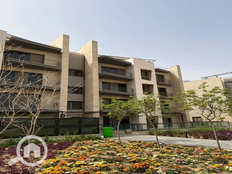 15 WhatsApp Image 2024-05-29 at 20.27. 29_25b4b402_800x600 (1). jpg