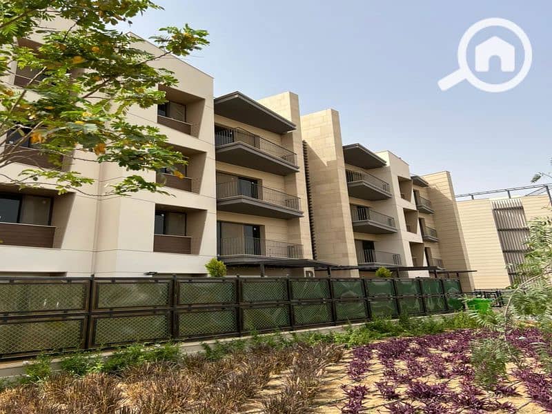 16 WhatsApp Image 2024-05-29 at 20.27. 29_45a79cb6_800x600. jpg