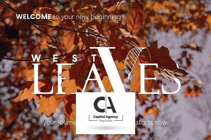 2 Screenshot 2025-02-13 150226. png