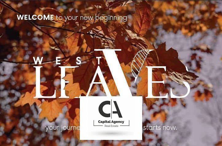 2 Screenshot 2025-02-13 150226. png