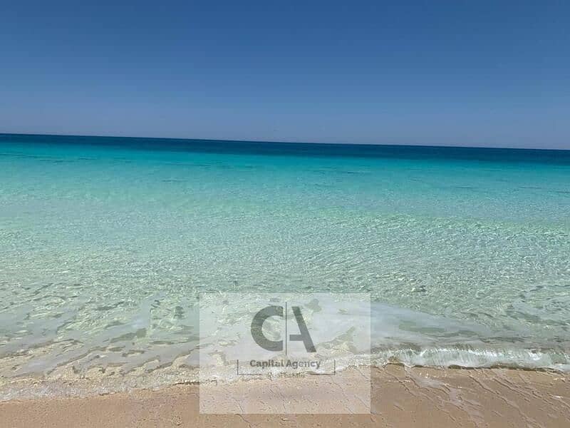 26 WhatsApp Image 2024-06-05 at 2.56. 35 PM. jpeg