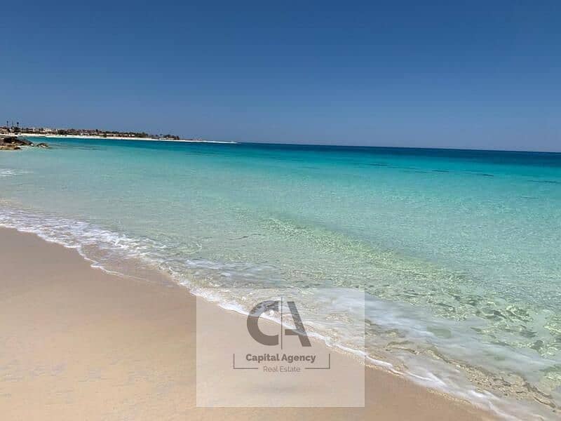 12 WhatsApp Image 2024-06-05 at 2.56. 37 PM. jpeg