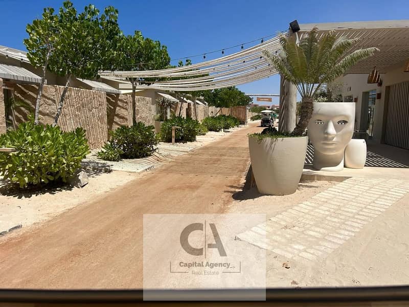 4 WhatsApp Image 2025-05-11 at 4.44. 44 PM (2). jpeg