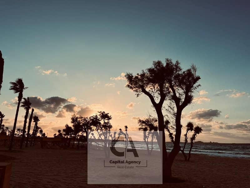 5 WhatsApp Image 2025-05-11 at 4.44. 43 PM. jpeg