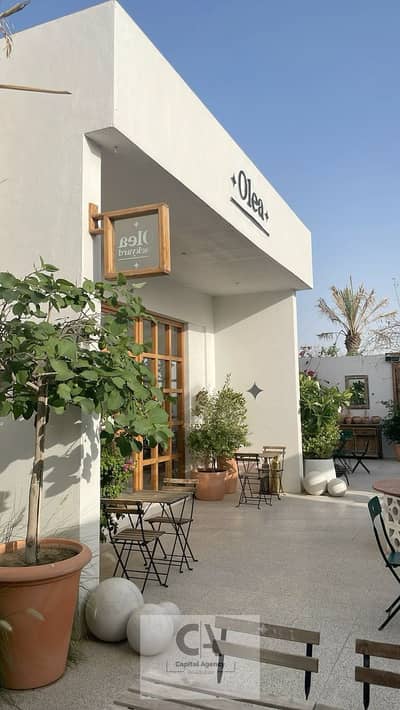 Restaurant & Cafe for Rent in New Cairo, Cairo - bd1802ae112fa228dacc67b8e2a0621b. jpg