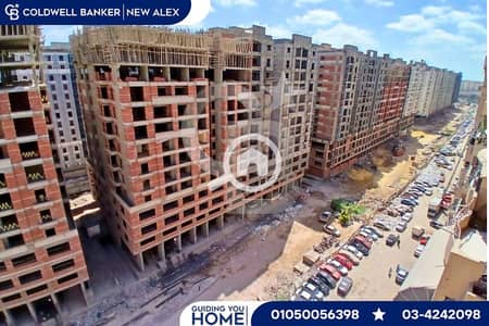 3 Bedroom Apartment for Rent in Smoha, Alexandria - 26. png