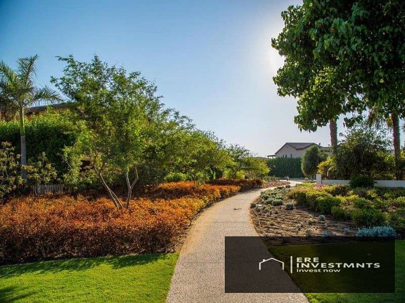 11 333f842e-6ea3-4b55-b4d9-9a8a06155b6e. jpg