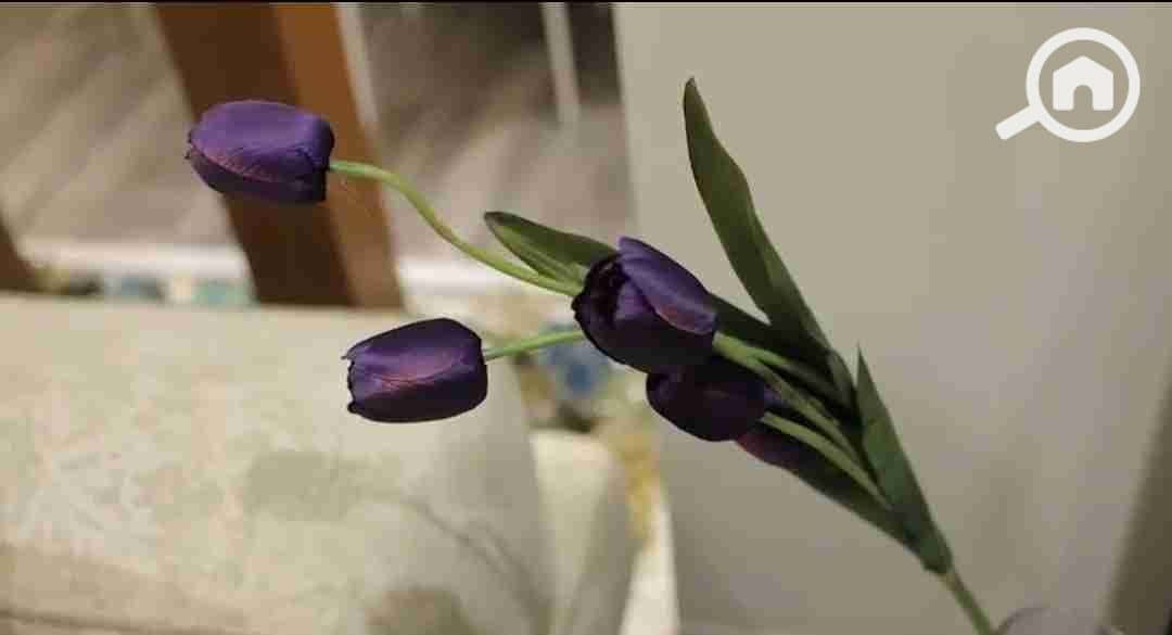 34 IMG_٢٠٢٥١٠٠٥_٠٤٠١٣٣. jpg