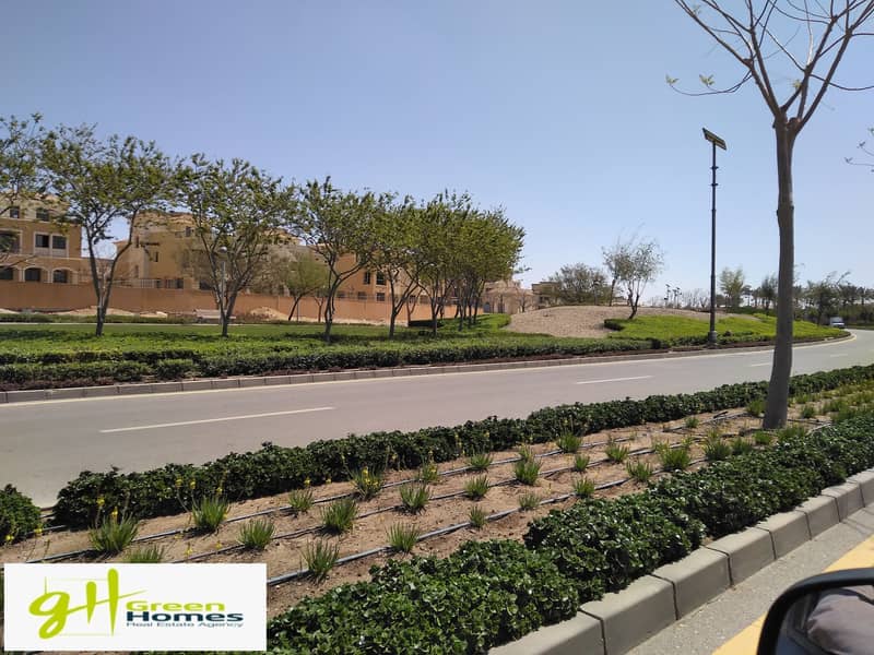 3 IMG_20200407_105620. jpg