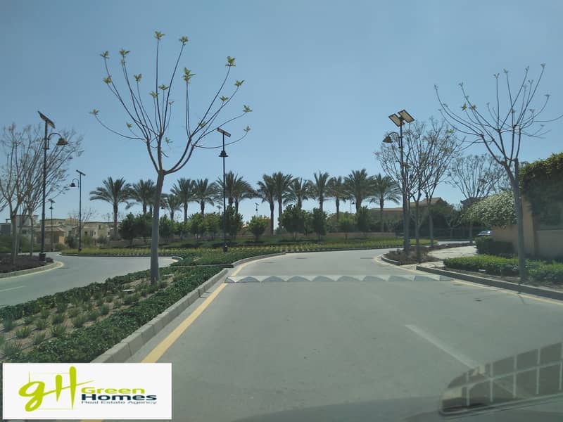 5 IMG_20200407_105638. jpg