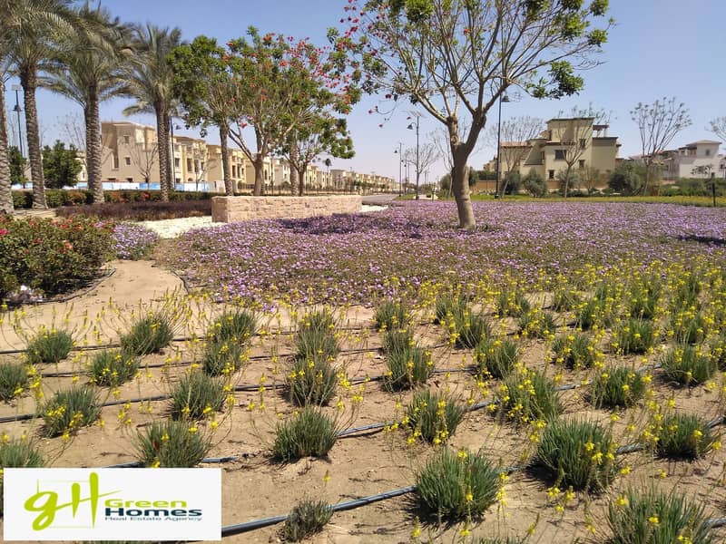 8 IMG_20200407_105657. jpg