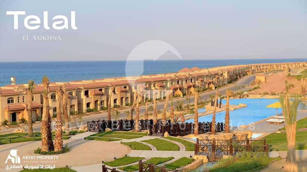 9 telal-sokhnaaaaaaaaa. jpg