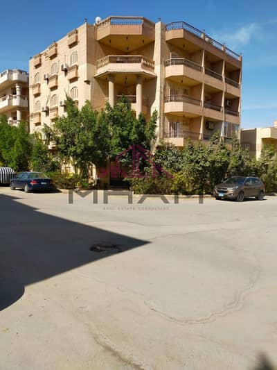 3 Bedroom Apartment for Rent in New Cairo, Cairo - photo_5987595005658777642_y. jpg