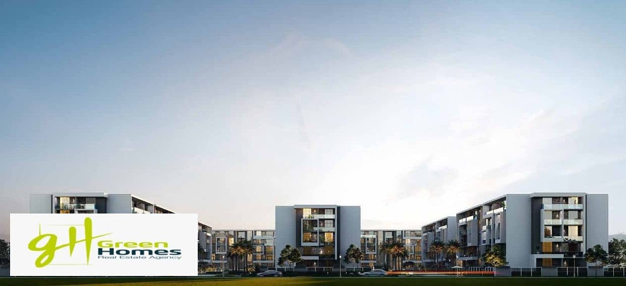 8 compound el patio oro. jpg
