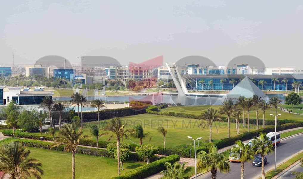 2 5990025630730799947. jpg