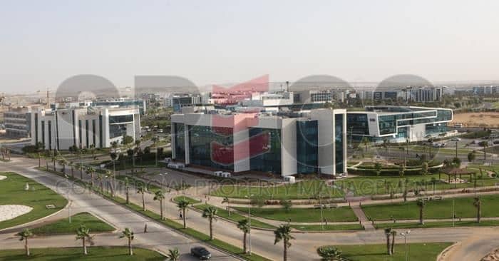 4 5990025630730799945. jpg