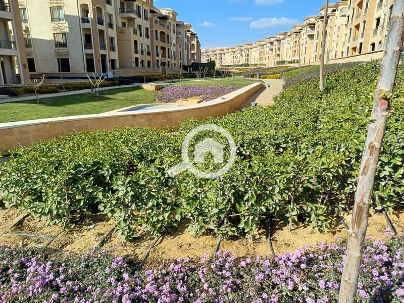 11 WhatsApp Image 2024-04-15 at 07.43. 57_a2500a19. jpg