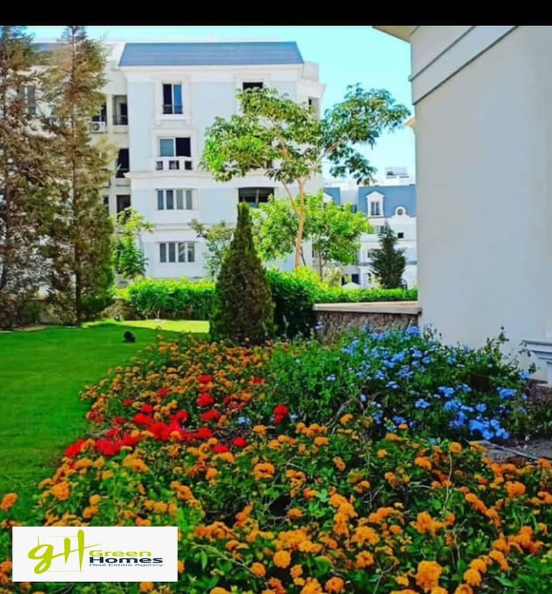 2 437540151_10168541567865234_7618345330509251135_n. jpg