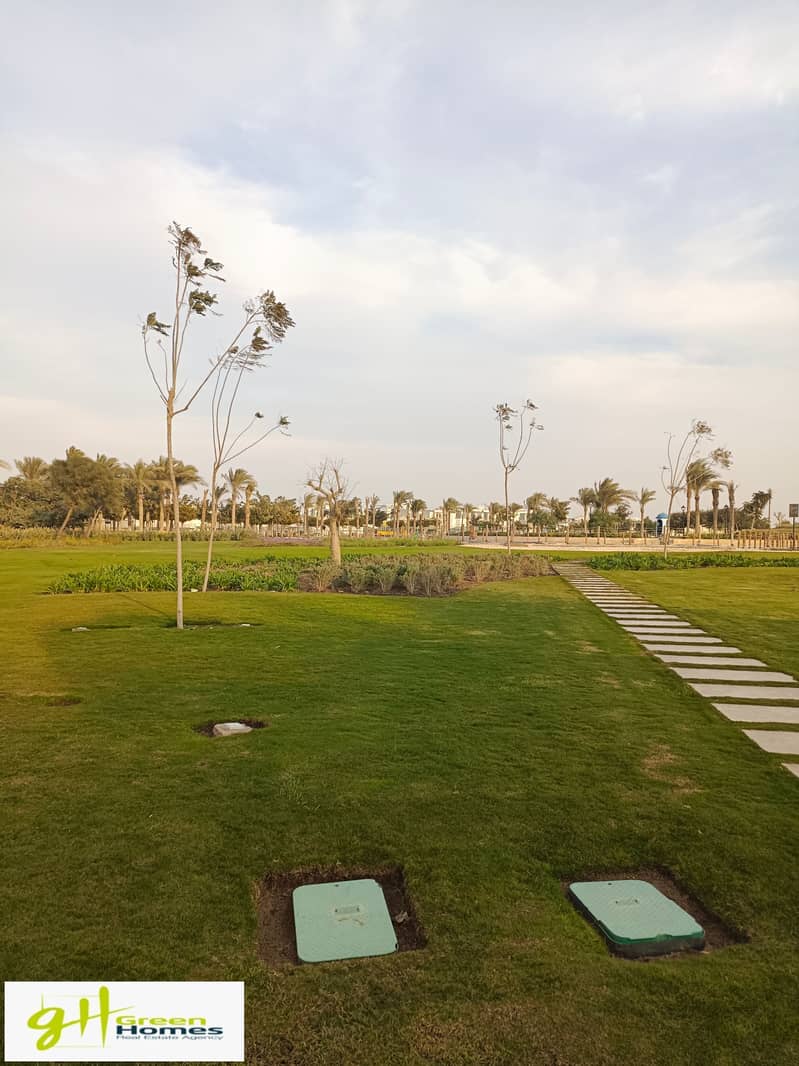 6 IMG_20231217_160401. jpg