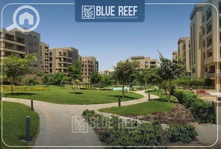 3 Bedroom Flat for Sale in New Cairo, Cairo - قثش. jpg