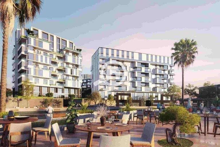 4 اركان-بالم. jpg