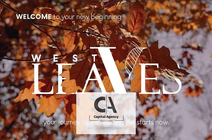 3 Screenshot 2025-02-13 150226. png