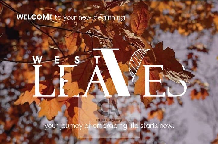 2 Screenshot 2025-02-13 150226. png