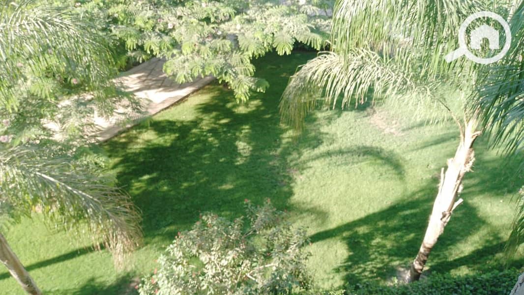 4 1000181589. jpg