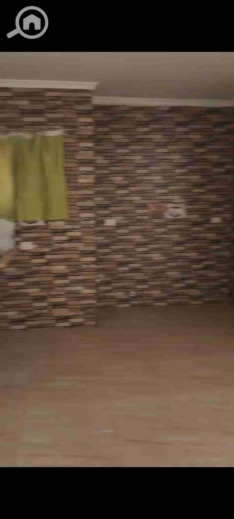 6 1000240718. jpg