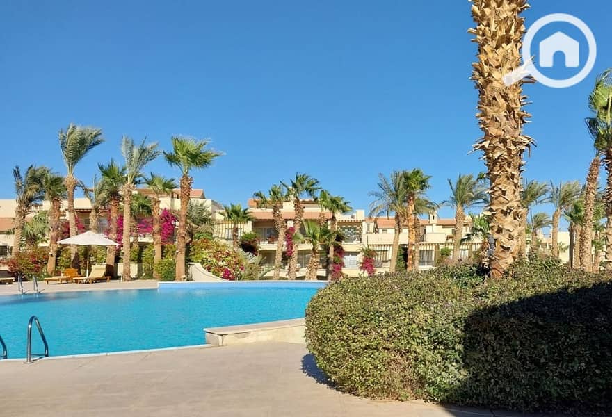 6 4978ea1c-d224-4f36-a7c3-7f6aac9d3ae6_original-75b2cdf9-f78d-4d1c-83c9-7e3fd96d8ba6. jpg