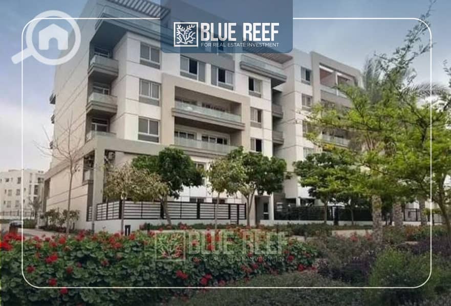 9 Bluereef  - Templete. psdsdfcv bnm. jpg