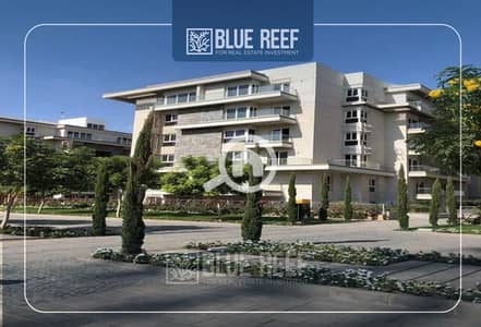 3 Bedroom Apartment for Sale in New Cairo, Cairo - ئيلس. jpg