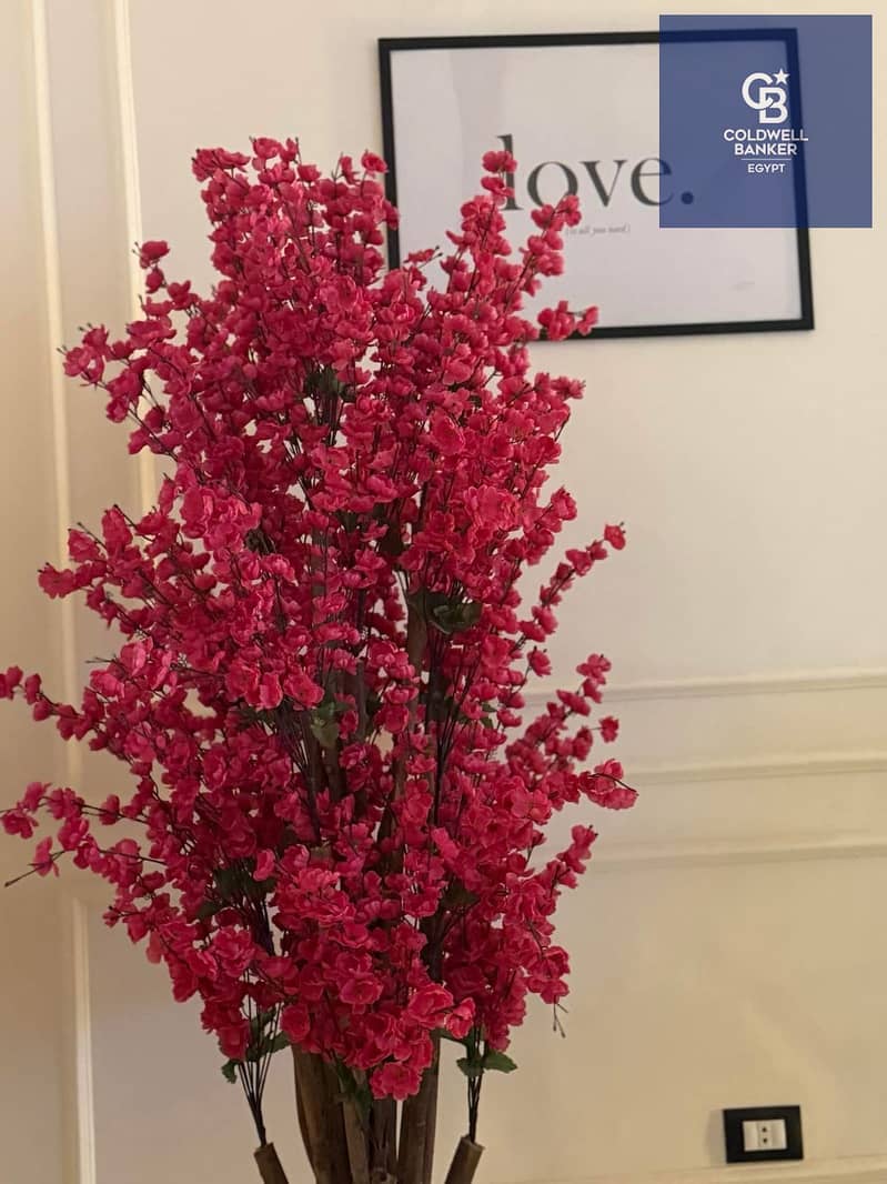 9 WhatsApp Image 2025-10-02 at 16.34. 03_2f1623d6. jpg