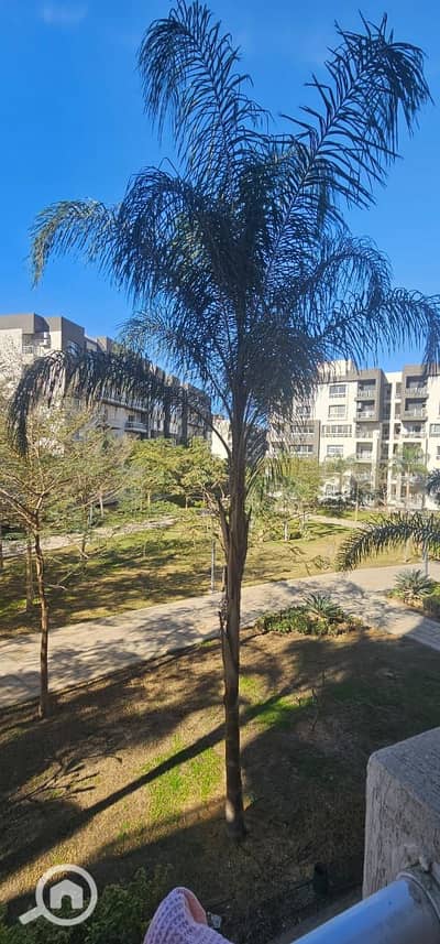 4 Bedroom Flat for Sale in Madinaty, Cairo - 49f30b4b-e608-4205-bf77-1e15efe3ad23. jpg