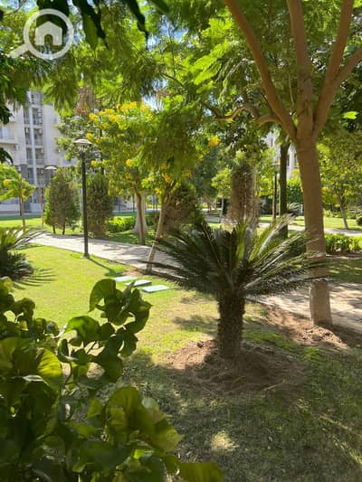 3 Bedroom Apartment for Sale in Madinaty, Cairo - WhatsApp Image 2025-10-06 at 6.10. 50 PM. jpeg