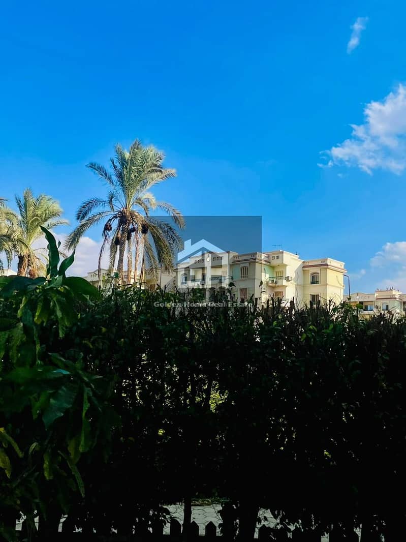 4 IMG-20251006-WA0013. jpg